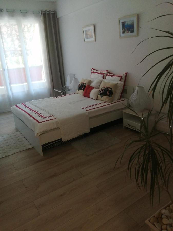 Appartement 5 Minute De La Promenade ニース エクステリア 写真